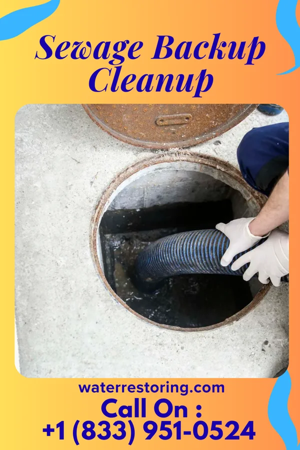 Sewage Backup Cleanup in Larimore, ND